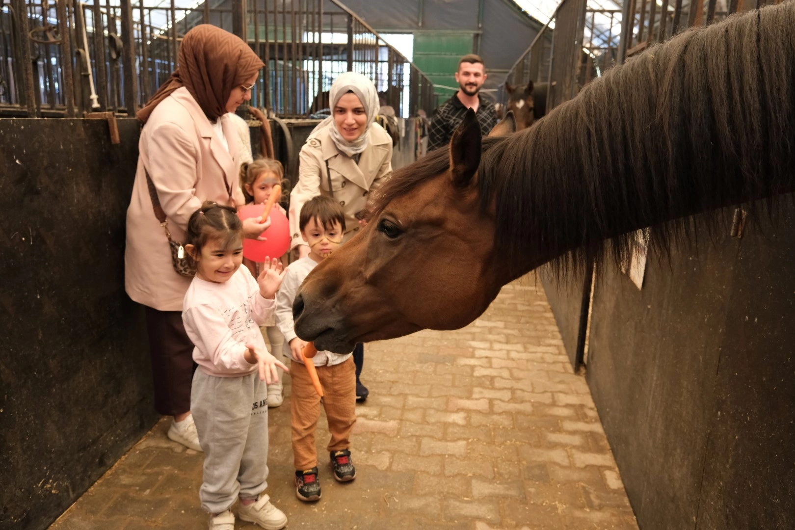 Minikler, Kocaeli'de atlarla buluştu