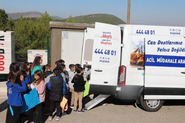 Muğla'da can dostlar için 'Acil Müdahale Aracı' devrede