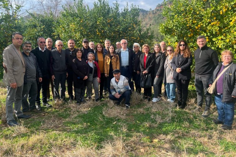 Muğla Milletvekili Özcan: "Bu sene limon dalında kaldı"