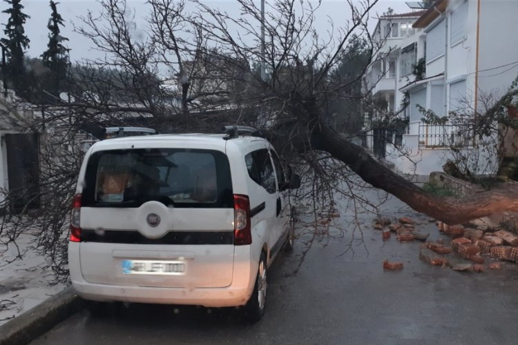 Muğla Bodrum'daki selin bilançosu ortaya çıktı: 130 ev ve iş yeri zarar gördü