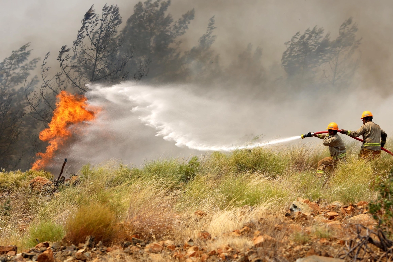Orman Genel Müdürlüğü'nden yangın uyarısı