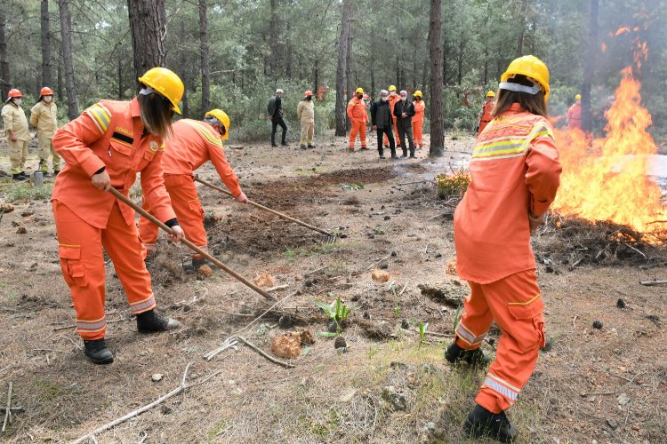 Orman yangılarında mücadeleye hedef 100 bin gönüllü 