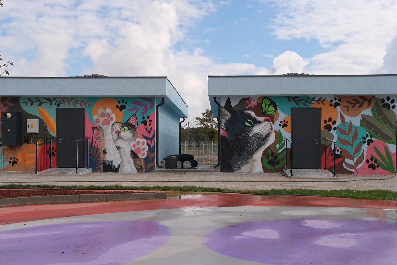 Sakarya'da Doğal Yaşam Kampüsü’ne sanatla dokunuş