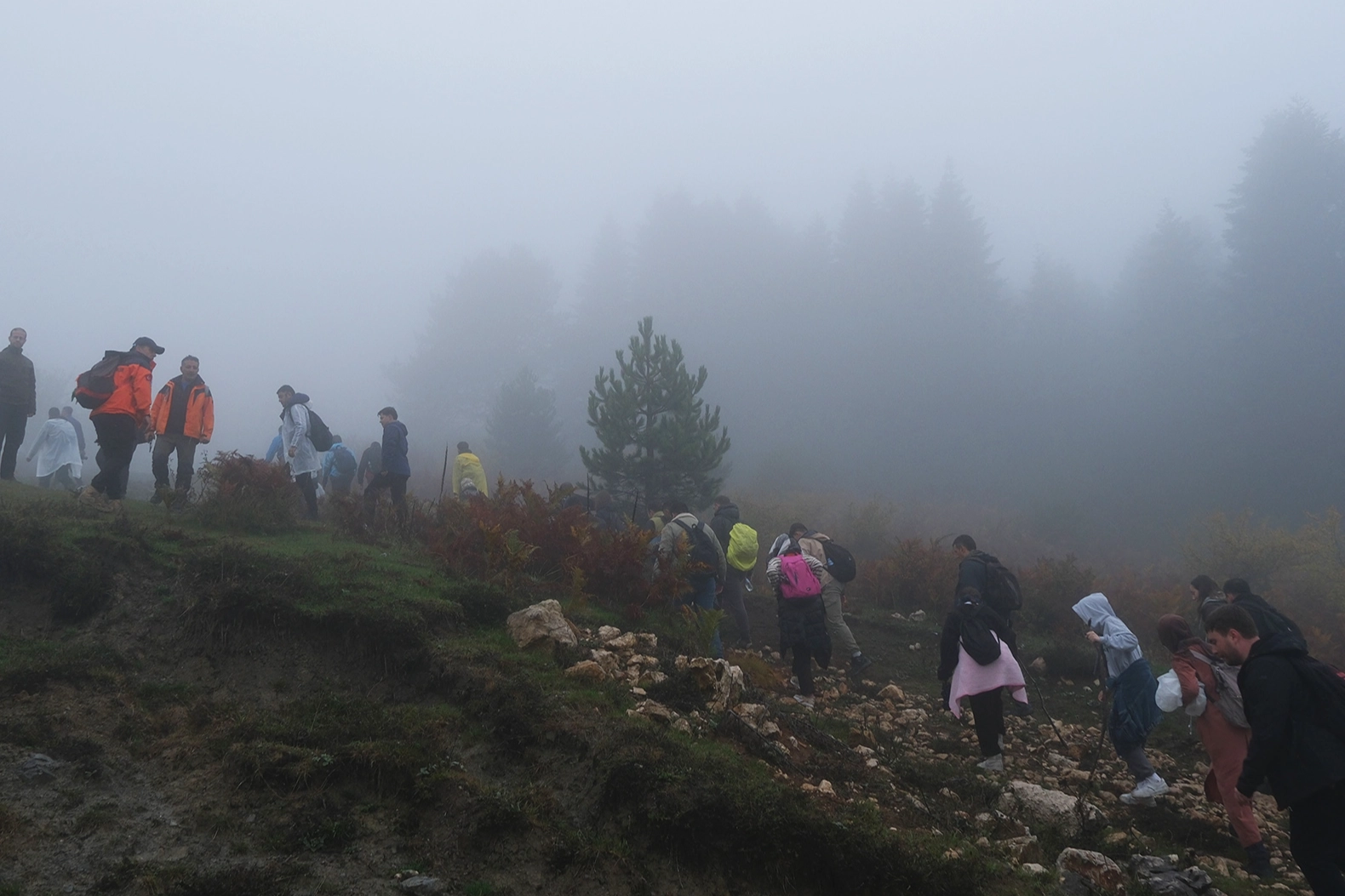 Sakarya'da sisler içindeki Kılıçkaya’da büyüleyici gün