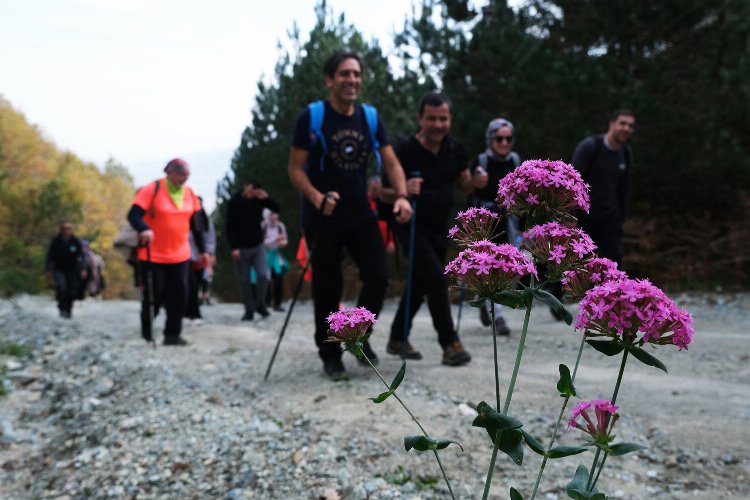Sakarya'da sonbahar keşfi