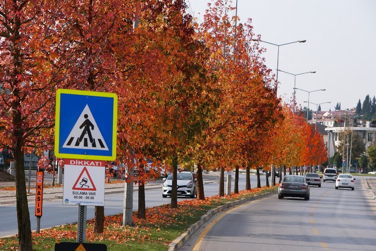 Sakarya'nın dokunduğu yollarda sonbahar esintisi
