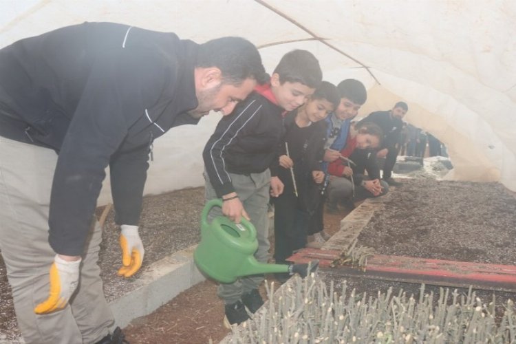 Şanlıurfa'da minikler tarımla buluştu