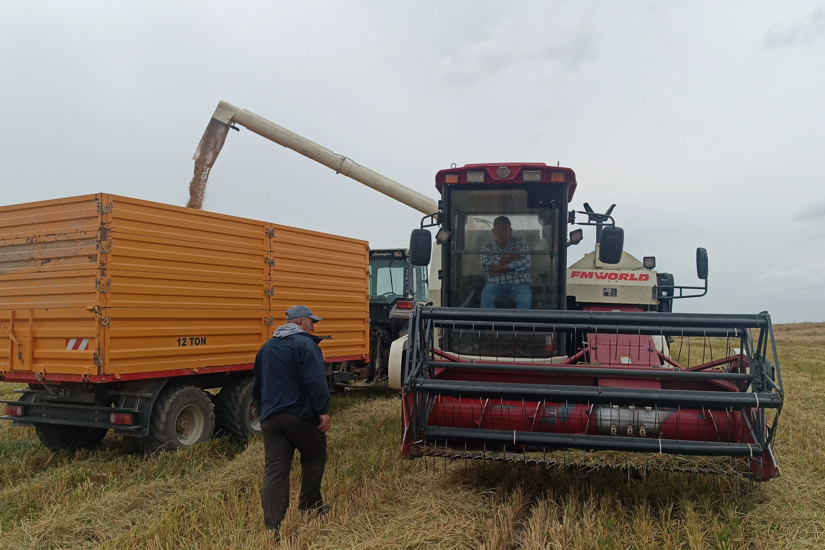 Tarımda devrim, dünyada ilk! Damlama sulama ile çeltik üretimi