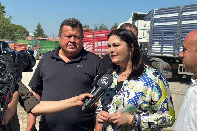 TMO Edirne'ye yeni alım noktası açacak