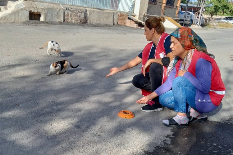 Türk Kızılay'dan Malatya'da 'engelsiz' etkinlik