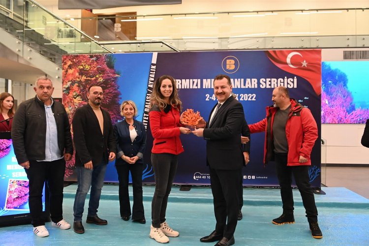 Türkiye’nin en büyük su altı fotoğraf sergisi Balıkesir'de