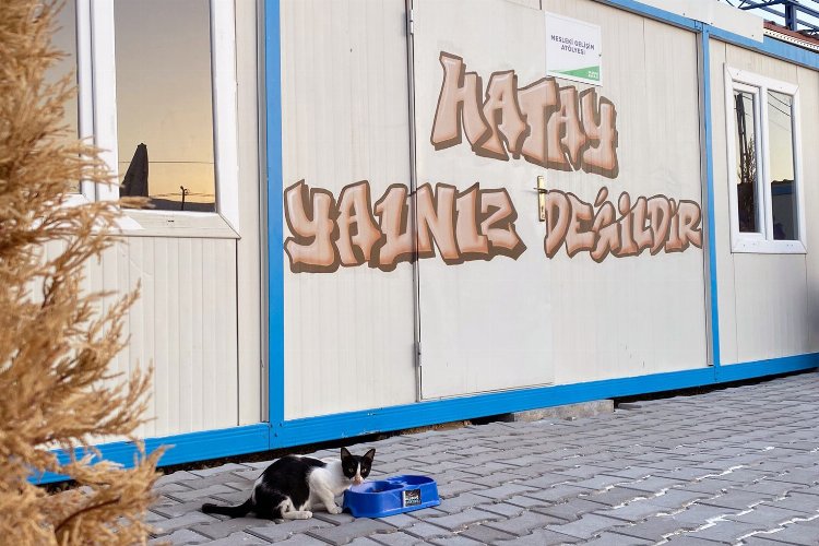 Uludağ Enerji Hatay'da sokak hayvanlarını unutmadı