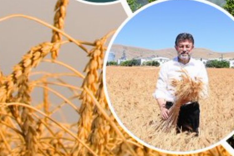 Üretici çiftçiye 11,2 milyar TL'lik destek